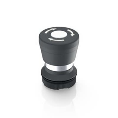 RAFI RAFIX 22 Series Illuminated Illuminated Push Button Switch, Latching, Through Hole, 22.3mm Cutout, 250V, IP65 [1.30.276.001/2200]; 525-148