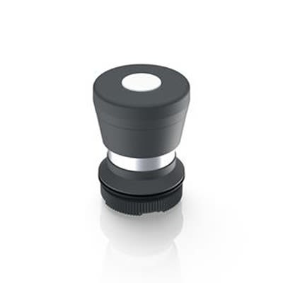 RAFI RAFIX 22 Series Illuminated Illuminated Push Button Switch, Momentary, Through Hole, 22.3mm Cutout, 250V, IP65 [1.30.276.201/2200]; 525-151