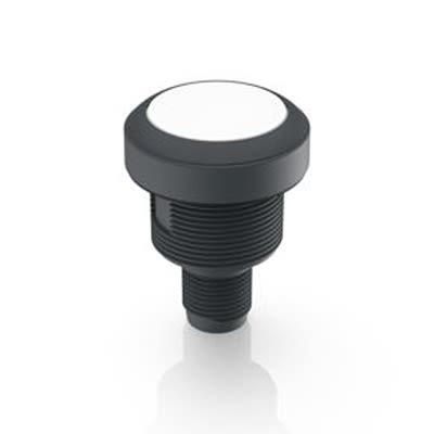 RAFI Push Button Bezel for Use with Lamp [1.10.071.201/0221]; 525-193