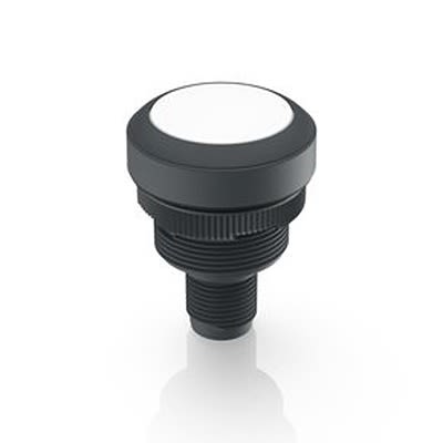 RAFI Push Button Bezel for Use with Lamp [1.10.071.001/0221]; 525-203