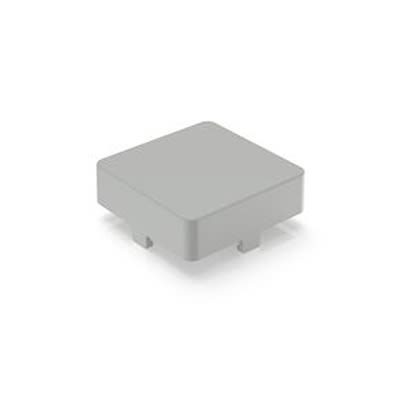 RAFI Push Button Bezel for Use with RAFIX 22 [5.46.681.001/0103]; 525-337