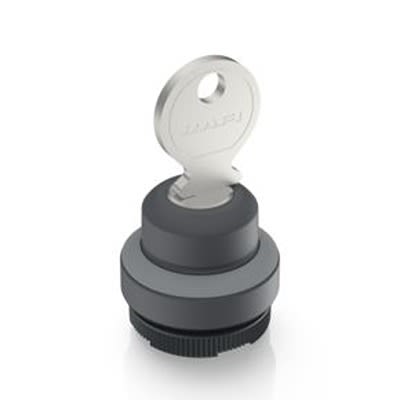 RAFI IP65 Key Switch 19-Way Tubular-Key [1.30.275.301/0800]; 525-452