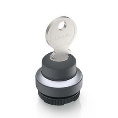 RAFI IP65 Key Switch 19-Way Tubular-Key [1.30.275.202/0000]; 525-460
