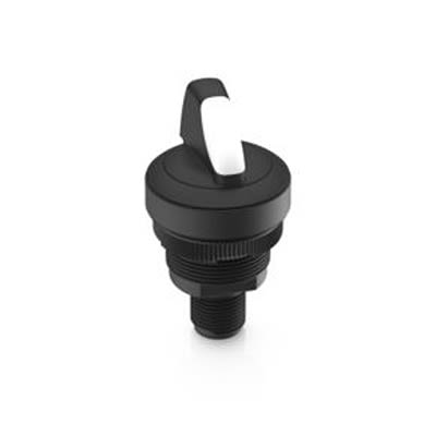 RAFI IP65 Key Switch, DPST, 100mA 1-Way Knob-Key [1.10.021.023/0221]; 525-547