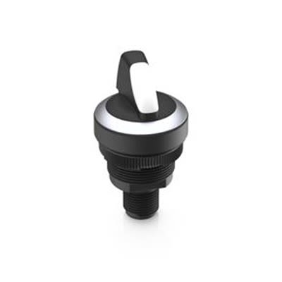 RAFI IP65 Key Switch, DPST, 100mA 2-Way Knob-Key [1.10.021.022/0220]; 525-550