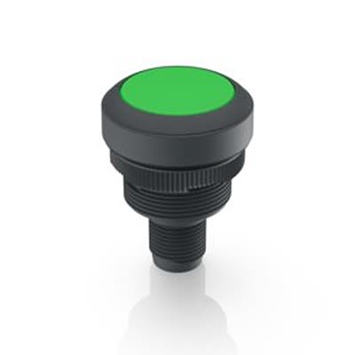 RAFI Push Button Switch for Use with Protective Cap [1.10.011.001/0551]; 525-557