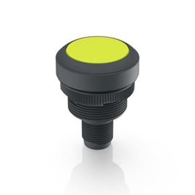 RAFI Push Button Switch for Use with Protective Cap [1.10.011.001/0441]; 525-561