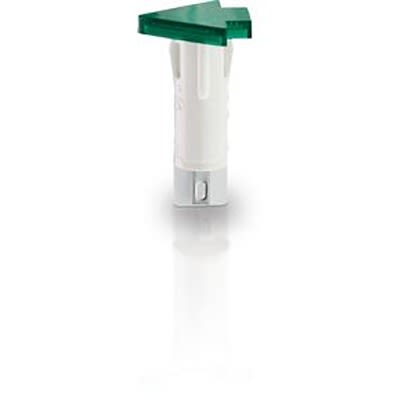 RAFI Clear Push Button Lamp for Use with Push Button [1.69.507.145/1002]; 525-570