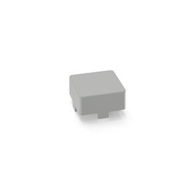RAFI Push Button Switch for Use with Key Cap Body [5.46.651.019/1307]; 525-661