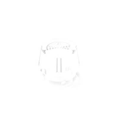 RAFI Transparent Round Push Button Switch for Use with Dome [5.49.255.002/1000]; 525-671