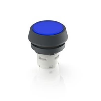 RAFI Push Button Bezel for Use with Pushbutton [1.30.070.271/0600]; 525-733