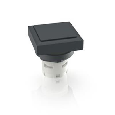 RAFI Push Button Bezel for Use with Pushbutton [1.30.070.451/0100]; 525-747