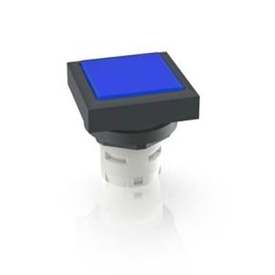 RAFI Push Button Bezel for Use with Pushbutton [1.30.070.451/0600]; 525-750