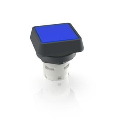 RAFI Push Button Bezel for Use with Pushbutton [1.30.070.251/0600]; 525-765