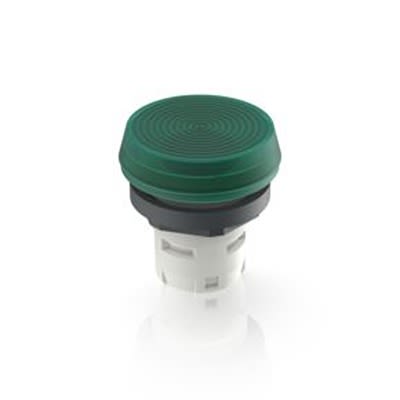 RAFI Green Indicator for Use with RAFIX 16 [1.65.124.021/1505]; 525-783