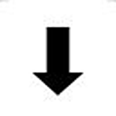 RAFI Labels for Use with Push Button And Lighting Indicator [5.70.097.026/1001]; 525-984