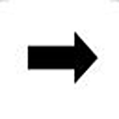 RAFI Labels for Use with Push Button And Lighting Indicator, Right Arrow [5.70.097.023/1001]; 525-986