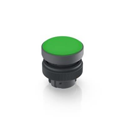 RAFI RAFIX 22 QR Series Green Indicator, 22.3mm Mounting Hole Size, Threaded Ring Termination, IP65 [1.74.505.501/1500]; 553-868
