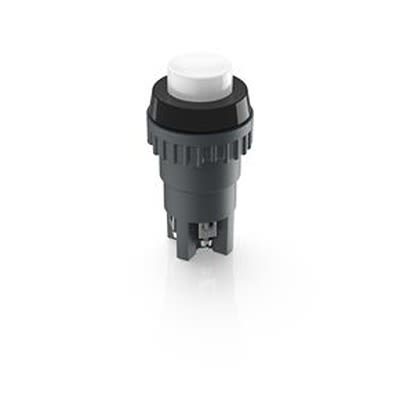 RAFI 1.01 Series Illuminated Push Button Switch, Momentary, Through Hole, 18.2mm Cutout, DPST, 250V, IP40, IP65 [1.01.102.001/0205]; 553-871