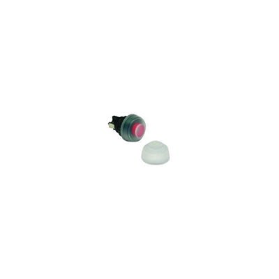 RAFI Push Button Bezel for Use with Pushbutton [5.52.008.115/0000]; 553-921