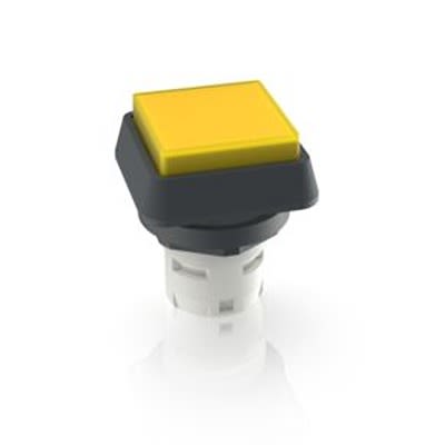 RAFI Illuminated Push Button Switch for Use with RAFIX 22 [1.30.070.051/1403]; 554-091