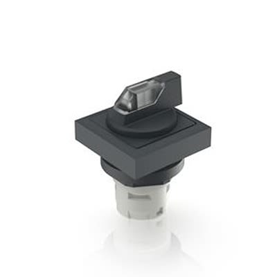 RAFI Selector Switch - 16.2mm Cutout Diameter, Illuminated 1 Positions [1.30.073.641/2000]; 554-108