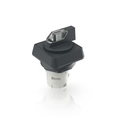 RAFI Selector Switch - 16.2mm Cutout Diameter, Illuminated 2 Positions [1.30.073.651/2000]; 554-119