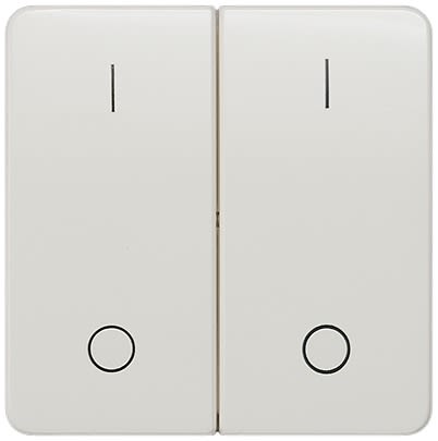 Siemens White Rocker Switch, 2 Way, 2 Gang, 5TG79 [5TG7962]; 611-003