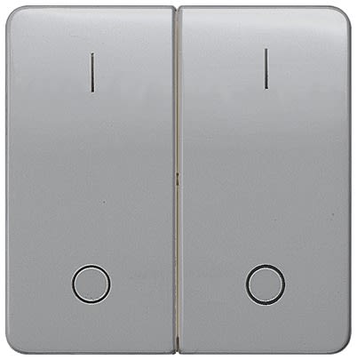 Siemens Silver Rocker Switch, 2 Way, 2 Gang, 5TG79 [5TG7988]; 611-004