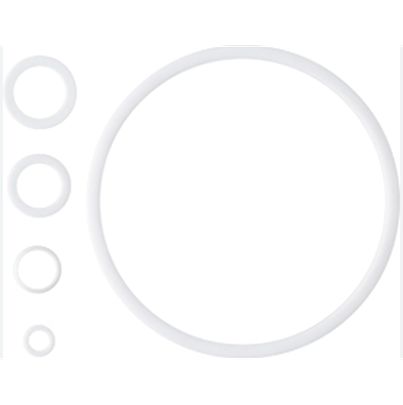 SMC Filter Repair Kit [KT-FGDT]; 623-983
