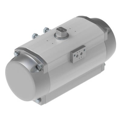 Festo DFPD Series 8 bar Double Action Pneumatic Rotary Actuator, 90° Rotary Angle, 900mm Bore [DFPD-N-900-RP-90-RD-F14-R3-EP]; 650-296