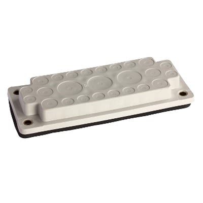 Schneider Electric NSY Series PP, TPE Cable Entry Membrane for Use with Cable Entrance Fl21, 215 x 86 x 25mm [NSYAECPFLA33]; 654-301