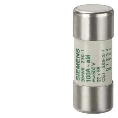 Siemens 100A Cartridge Fuse, 22 X 58mm [3NW8230-1]; 665-079