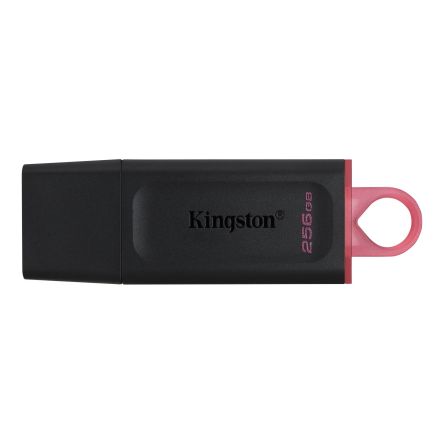 Kingston Exodia 256 GB USB 3.2 USB Flash Drive [DTX/256GB]; 243-6476