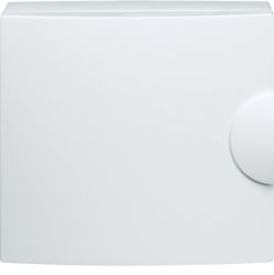 Hager Plastic RAL 9010 Plain Door, 50mm W, 225mm L for Use with Control Panel GA01N [GP112PN]; 252-2611