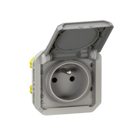 Legrand Grey Plug Socket, 2 Poles, NF Socket [069551L]; 253-8754