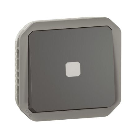 Legrand Grey Push Button Light Switch, 1 Way [069804L]; 253-8936