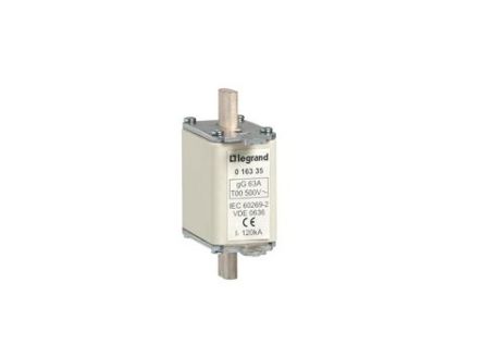 Legrand 100A Ceramic Cartridge Fuse [016345]; 255-2141