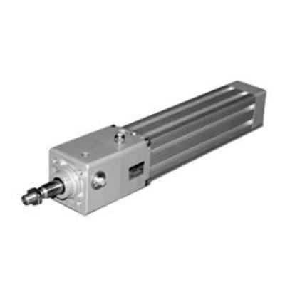 SMC ISO Standard Cylinder - 40mm Bore, 250mm Stroke, CP95 Series, Double Acting [CP95NDB40-250]; 255-4274