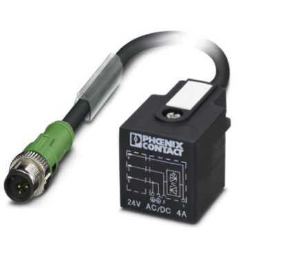 Phoenix Contact Straight Male M12 to DIN 43650 Form A Sensor Actuator Cable, 300mm [1400768]; 256-1693