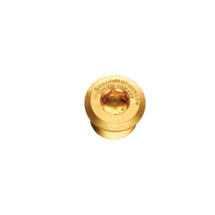 Thomas & Betts Stopping Plug, M25, Nickel Plated Brass, Threaded [7TCA297140R0096]; 259-9994