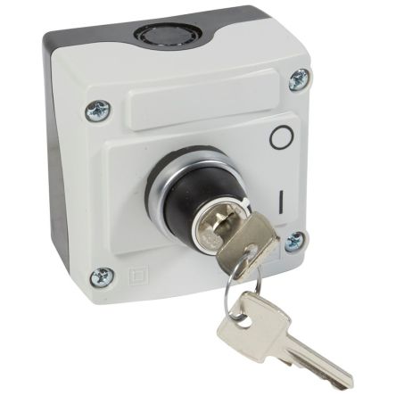 Legrand Grey Key Operated Socket Switch, 2 Poles [0 242 17]; 266-0293