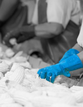 Polyco Healthline Blue Nitrile Disposable Gloves, Size M, 24 per Pack [91 - M]; 268-4869
