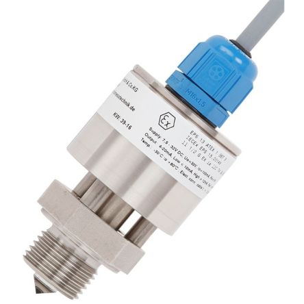 WIKA OLS-C51 Series Level Sensor Level Switch, 4-20mA Output, Stainless Steel Body, ATEX, IECEx-Rated [14243207]; 269-0957