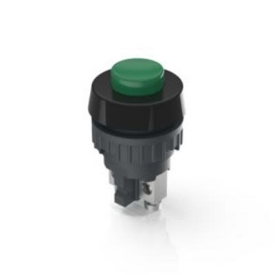 RAFI 1.1 Series Push Button, Momentary, Panel Mount, 19mm Cutout, SPST, 250V, IP40, IP65 [1.10.001.001/0507]; 271-9073