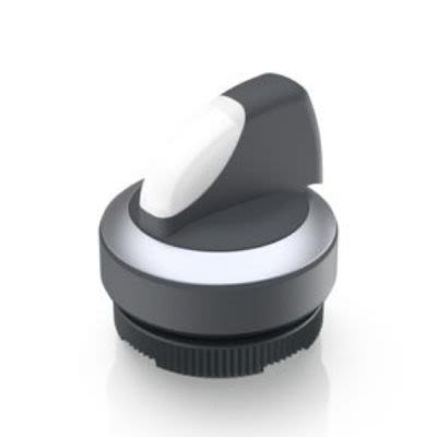 RAFI Knob Selector Switch - 29.8mm Cutout Diameter, Illuminated 1 Positions [1.30.272.102/2200]; 271-9140