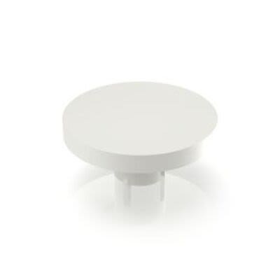 RAFI MICON 5 Series Plunger [5.46.001.125/0200]; 271-9194