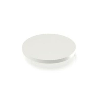 RAFI MICON 5 Series Plunger [5.46.001.163/0200]; 271-9198