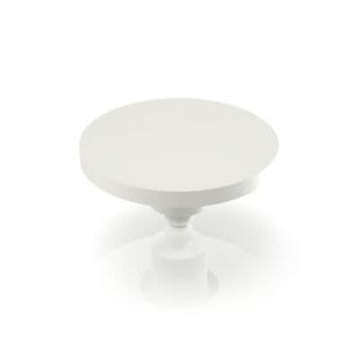 RAFI RACON Series Plunger [5.46.167.043/0209]; 271-9204