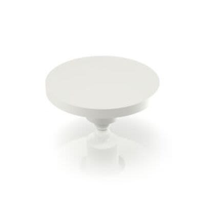 RAFI RACON Series Plunger [5.46.167.050/0209]; 271-9207